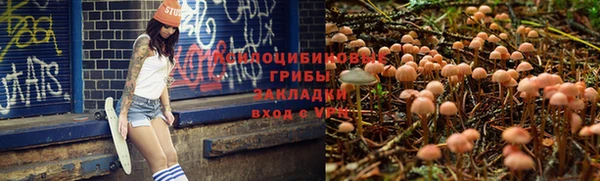 а пвп мука Володарск