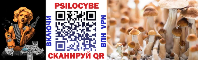 купить наркоту  Коломна  Галлюциногенные грибы MAGIC MUSHROOMS 